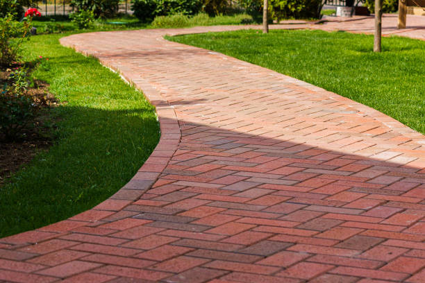 Best Local Driveway Pavers  in Carthage, MS